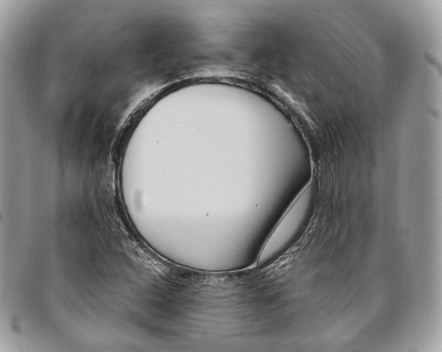 X0000095901408200802081130