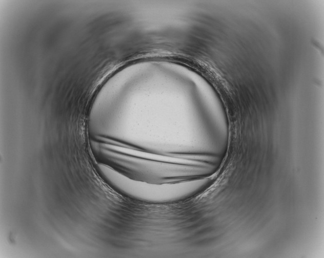 X0000095901409200802081130