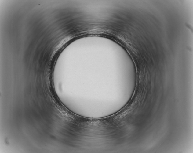 X0000095901410200802081130