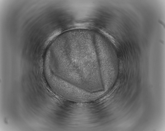 X0000095901411200802081130