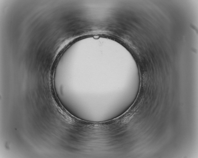 X0000095901412200802081130