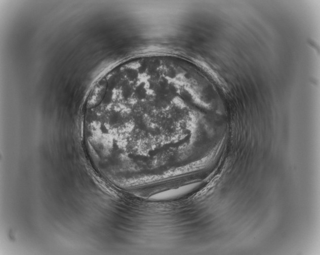 X0000095901413200802081130