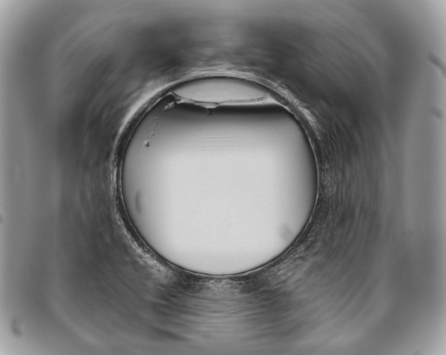 X0000095901416200802081130