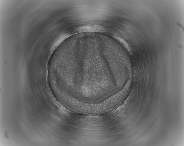 X0000095901419200802081130