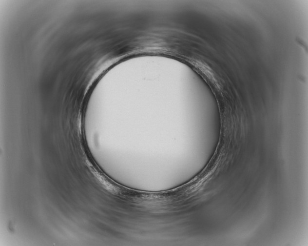 X0000095901420200802081130