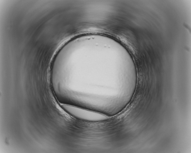 X0000095901421200802081130