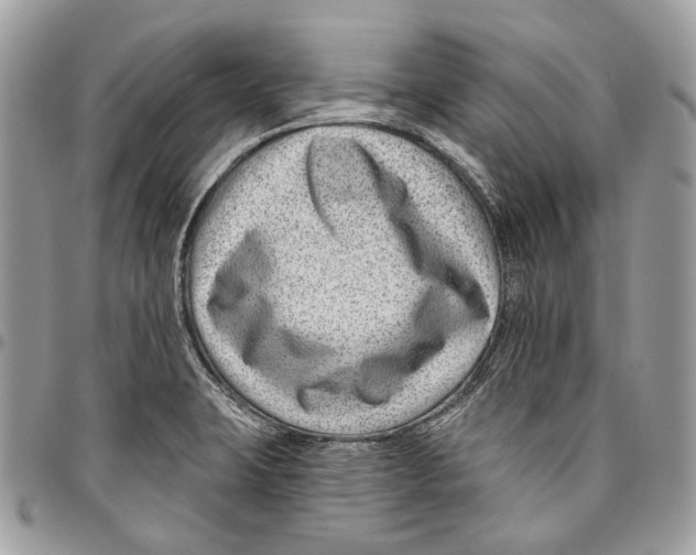 X0000095901423200802081130