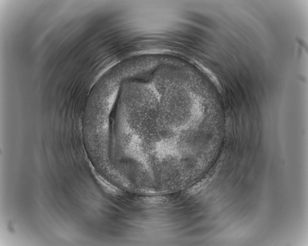 X0000095901425200802081130