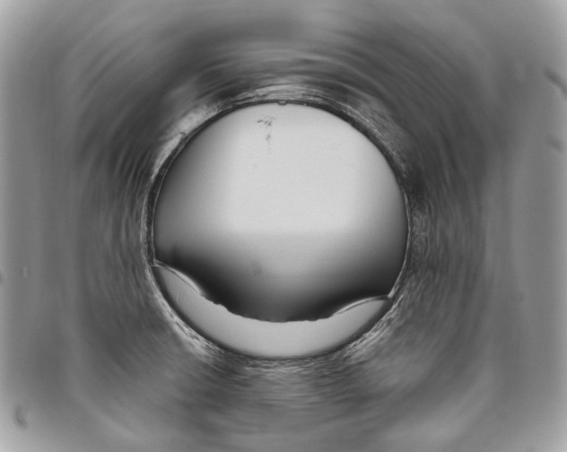 X0000095901426200802081130