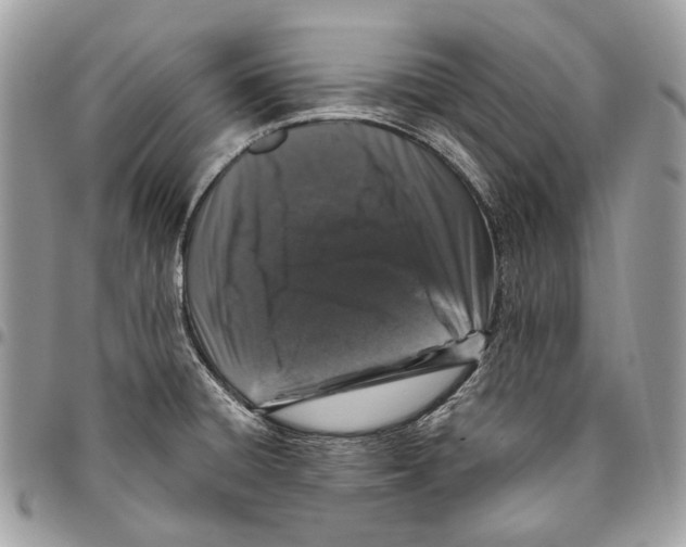 X0000095901428200802081130