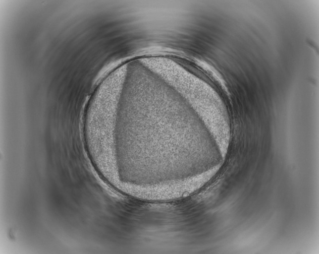 X0000095901429200802081130