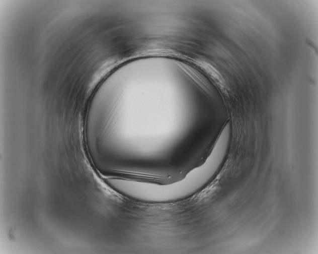 X0000095901430200802081130