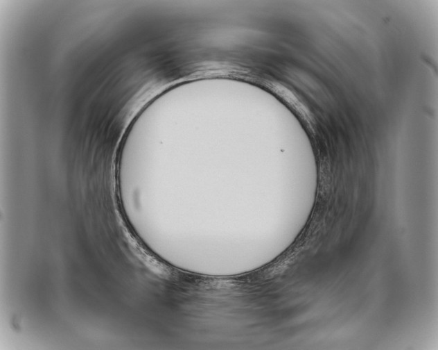 X0000095901431200802081130