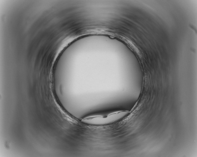 X0000095901432200802081130