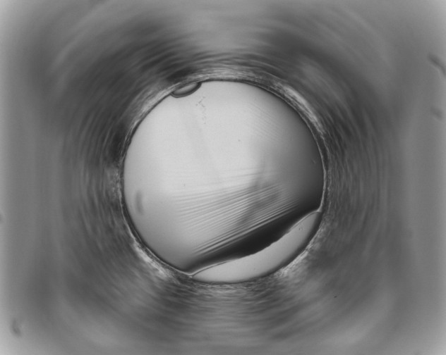 X0000095901433200802081130