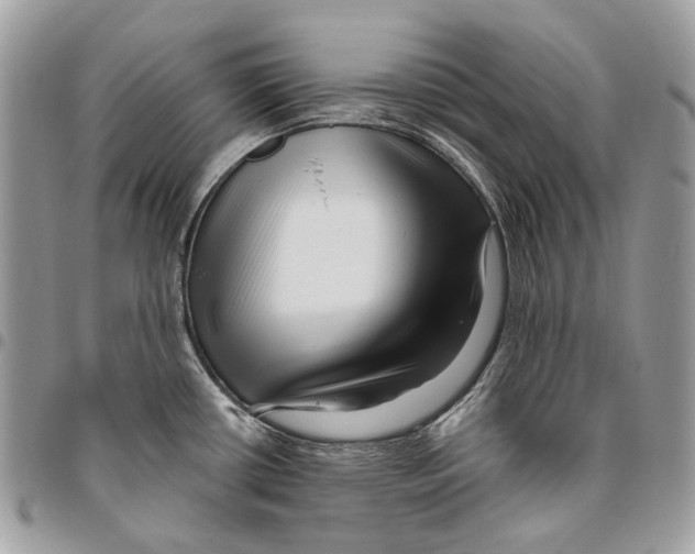 X0000095901434200802081130