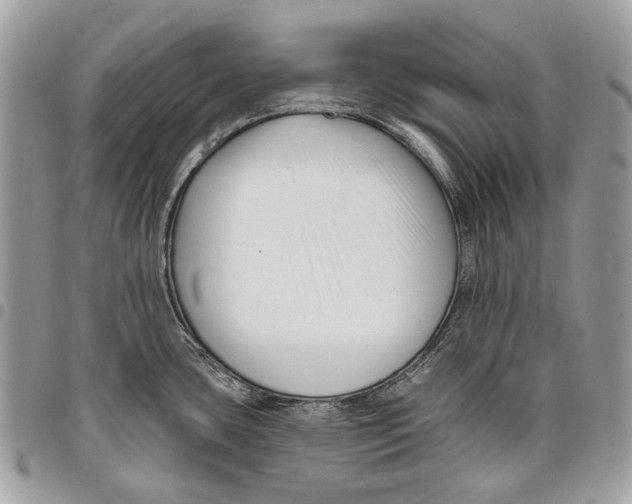 X0000095901435200802081130