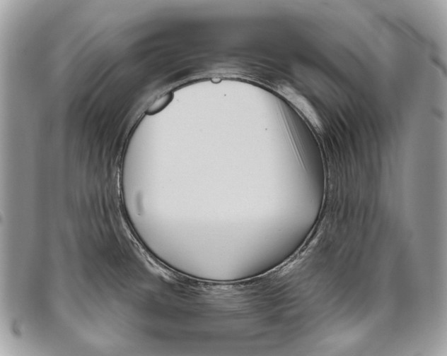 X0000095901436200802081130