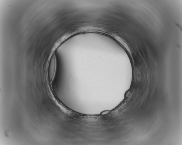 X0000095901437200802081130