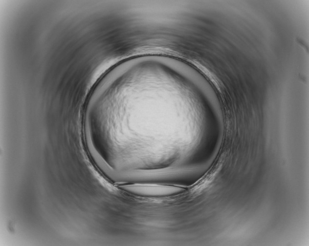 X0000095901438200802081130