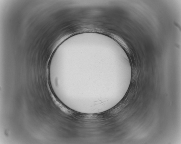 X0000095901439200802081130