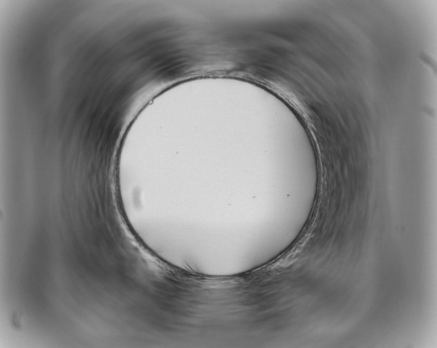 X0000095901440200802081130