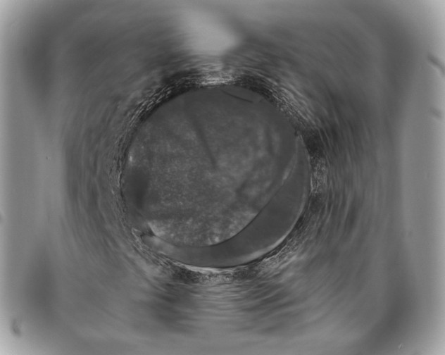 X0000095901441200802081129