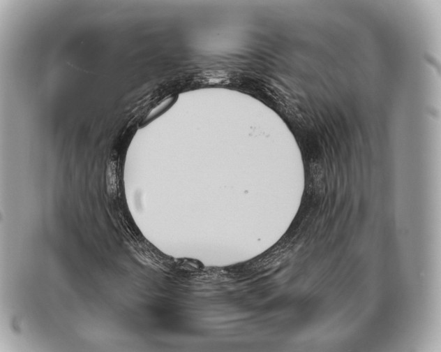 X0000095901442200802081129