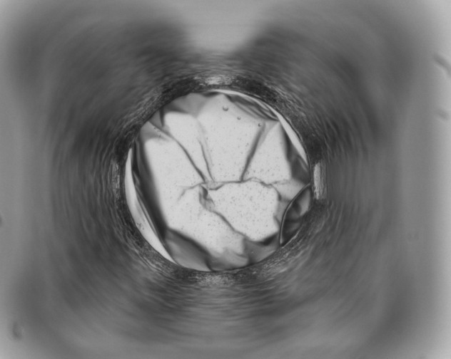 X0000095901443200802081129