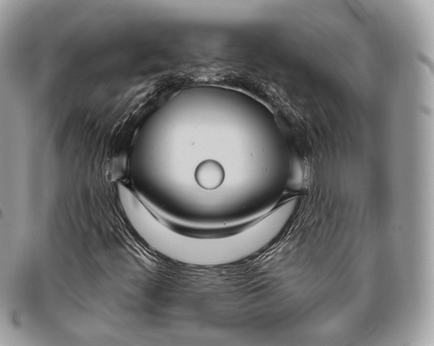 X0000095901444200802081129