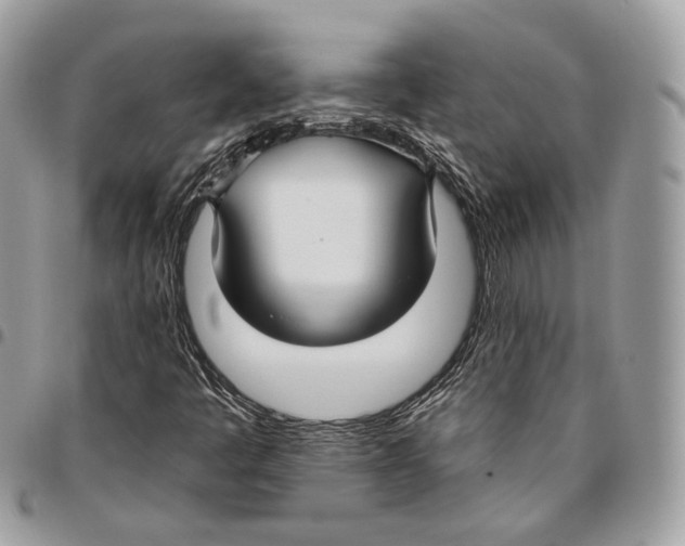 X0000095901445200802081129