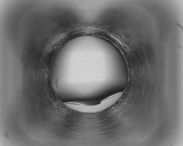 X0000095901447200802081129