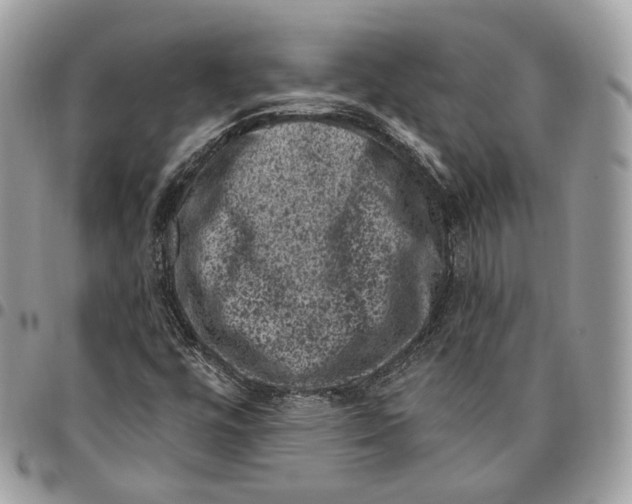 X0000095901448200802081129