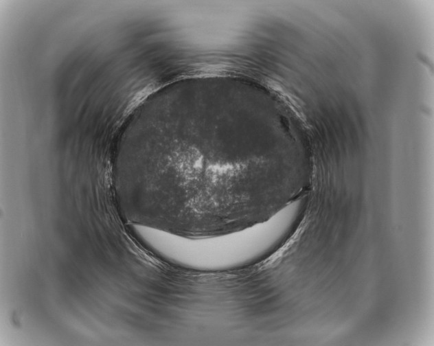 X0000095901449200802081129