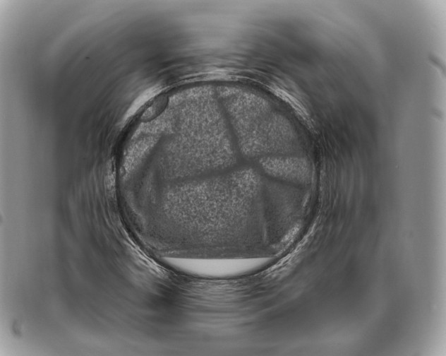 X0000095901450200802081129