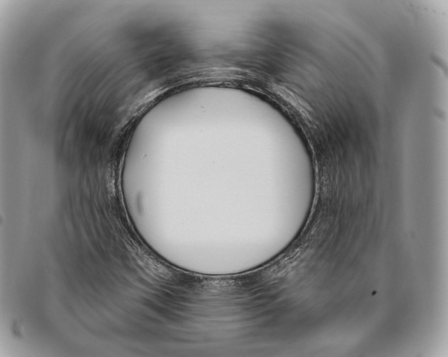 X0000095901451200802081129