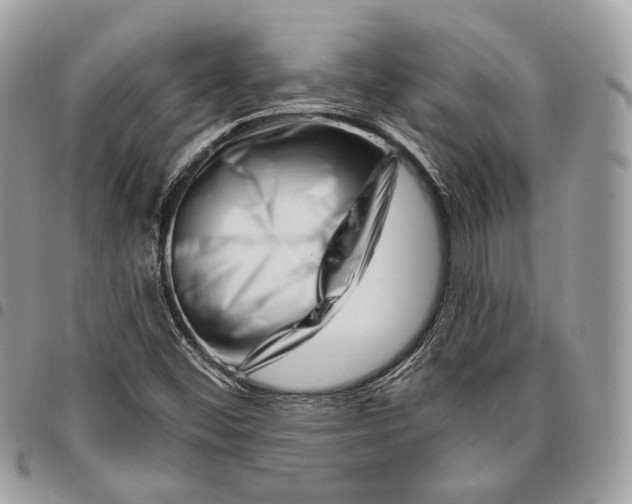 X0000095901452200802081129