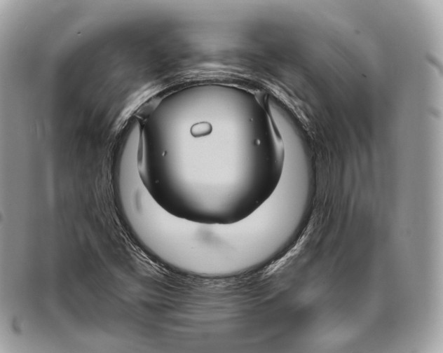 X0000095901453200802081129