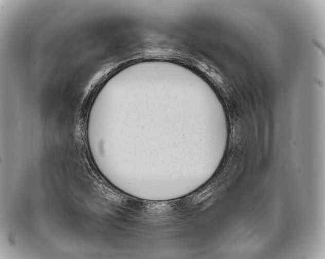 X0000095901454200802081129