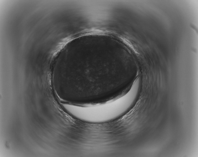 X0000095901455200802081129