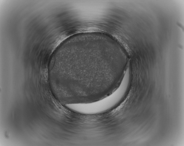 X0000095901457200802081129