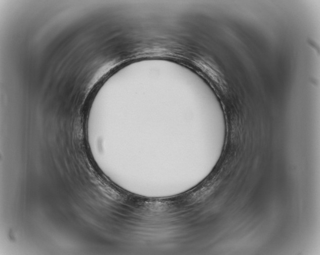 X0000095901458200802081129