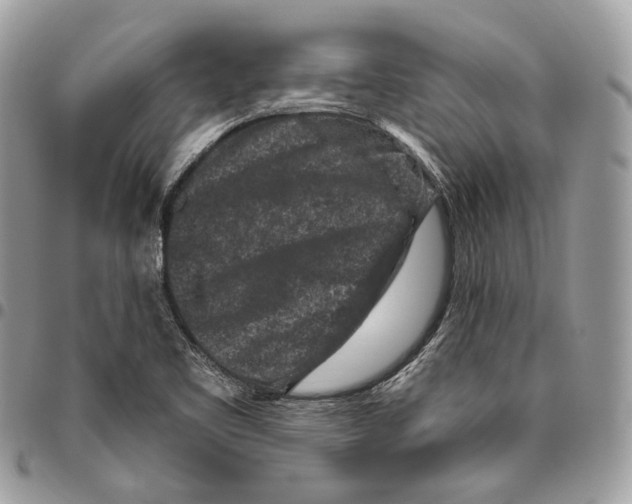 X0000095901461200802081129