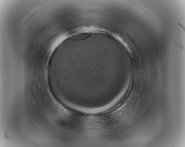 X0000095901463200802081129