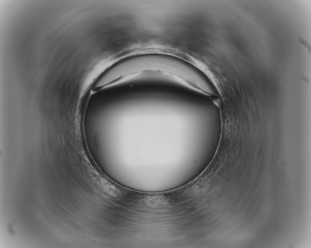 X0000095901464200802081129