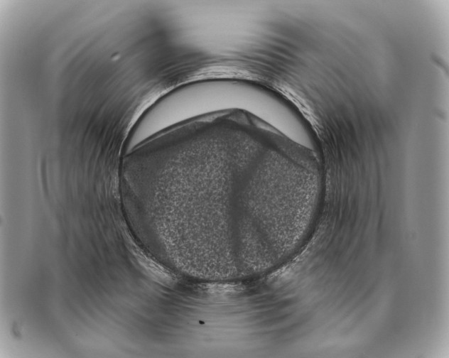 X0000095901465200802081129