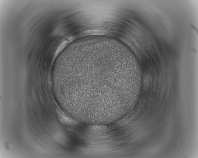 X0000095901466200802081129