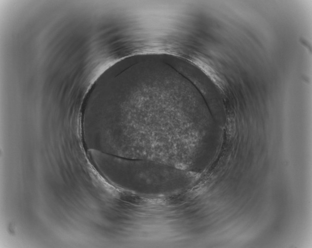 X0000095901468200802081129