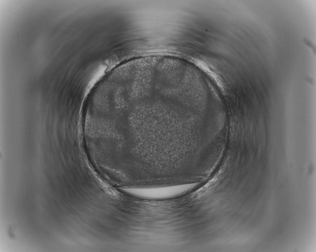 X0000095901469200802081129