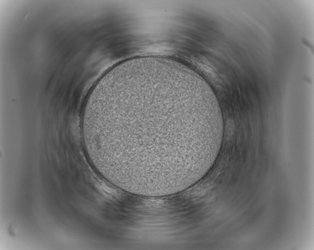 X0000095901470200802081129